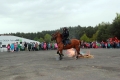 izsday2015_59